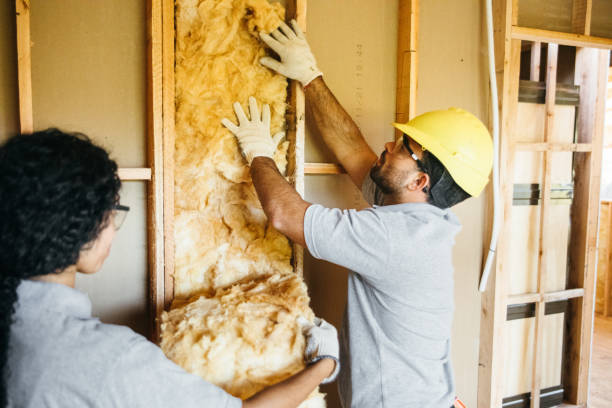 Best Spray Foam Insulation  in Cedar Bluff, AL